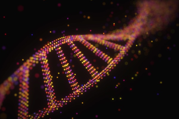 <?php echo e(get_the_title()); ?> DNA